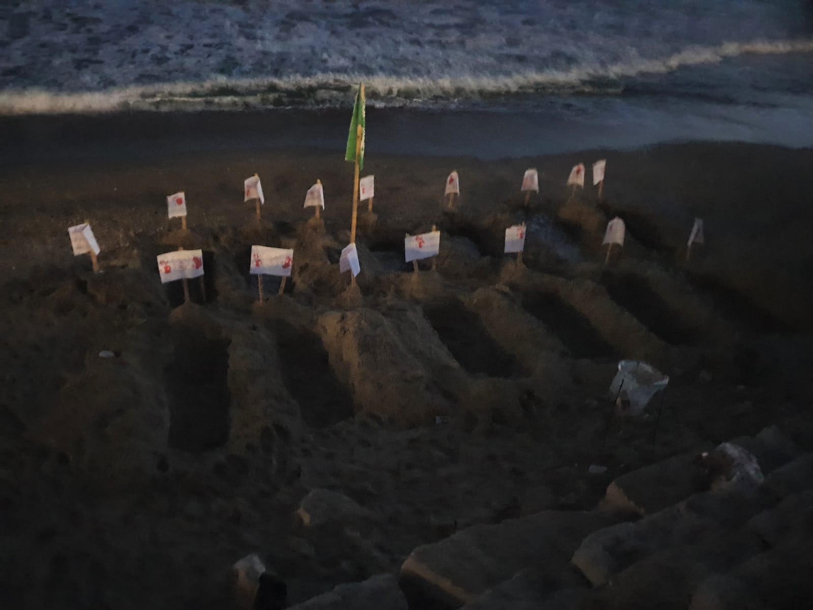 WhatsApp Image 2020-06-15 at 9.19.13 AM (2).jpeg.jpeg